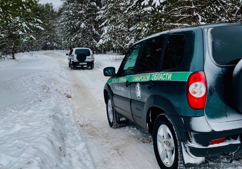 В Самарской области стартовала ежегодная операция «Ель»