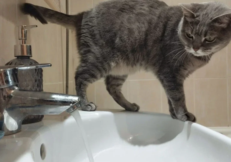 В Самаре 10 декабря возможны временные отключения холодной воды