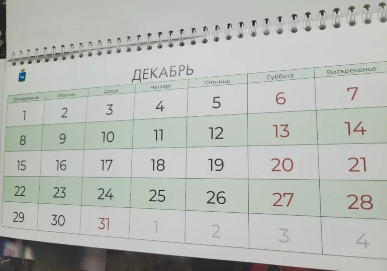 Каждый второй россиянин планирует покупку новогодних подарков заранее