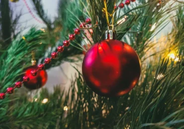 В Самаре пройдет лекция о традициях празднования Нового года