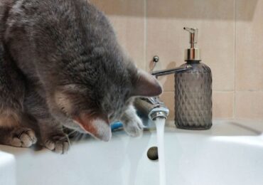 В Самаре 14 декабря возможны временные отключения холодной воды