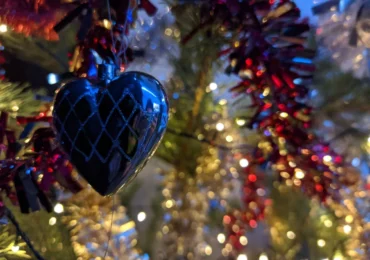 Госжилинспекция Самарской области и городской департамент транспорта поздравили многодетную семью с наступающим Новым годом