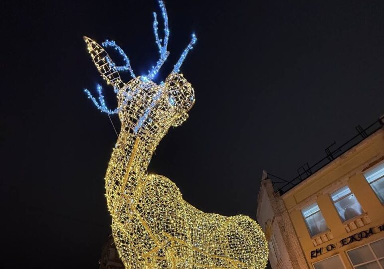 В Самаре появился сверкающий гирляндами олень