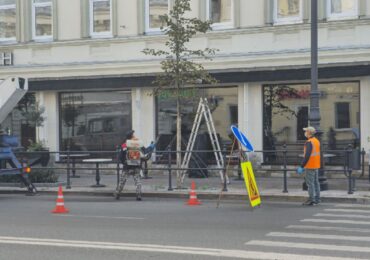 В этом году в Ленинском районе Самары высадили 281 дерево