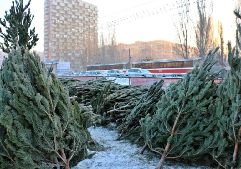 В Самаре откроют 140 елочных базаров