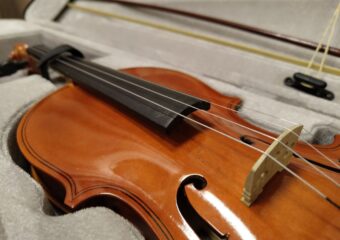 Сегодня отмечают Всемирный день скрипки