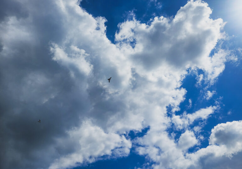 В Самаре состоится XI Благотворительная акция «Рождение добра»