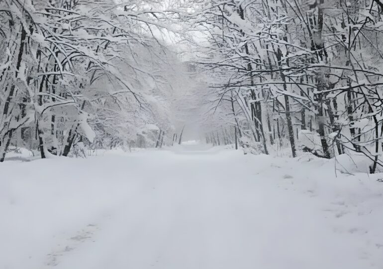 В Самарской области с 7 января откроют автозимник «Шелехметь – Белые домики»