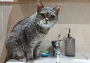 В Самаре 4 января возможны временные отключения холодной воды