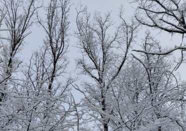 Ответственные службы Самарской области перейдут в режим повышенной готовности из-за морозов
