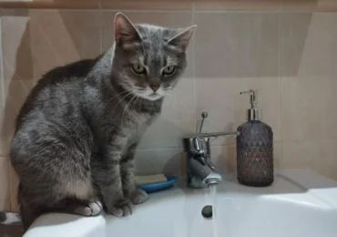 В Самаре 8 января возможны временные отключения холодной воды