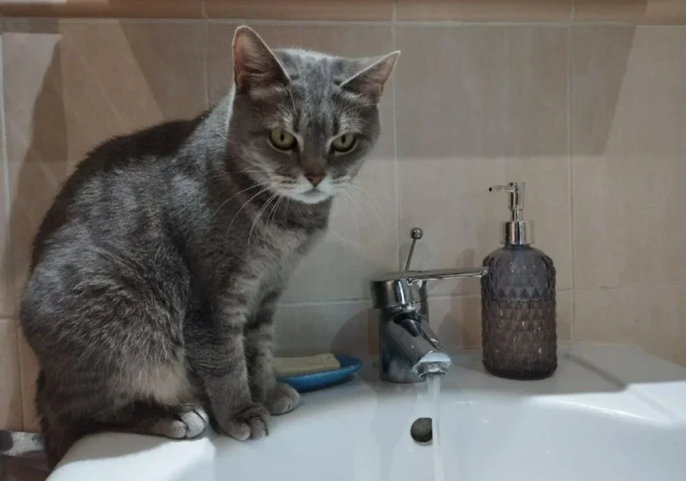 В Самаре 8 января возможны временные отключения холодной воды