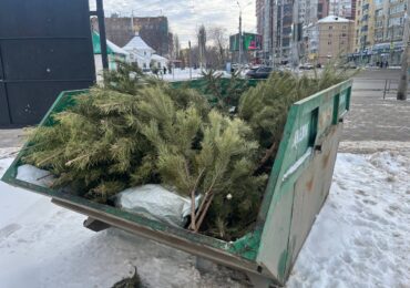 Жители Самары могут сдать живые елки на переработку до 15 января