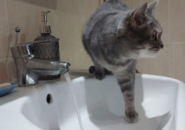 В Самаре 18 января возможны временные отключения холодной воды