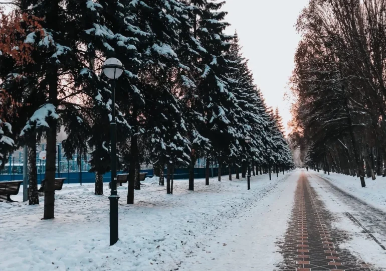 В Самаре состоится «Марафон карьеры»
