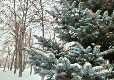 В Самарской области введут режим неблагоприятных метеоусловий