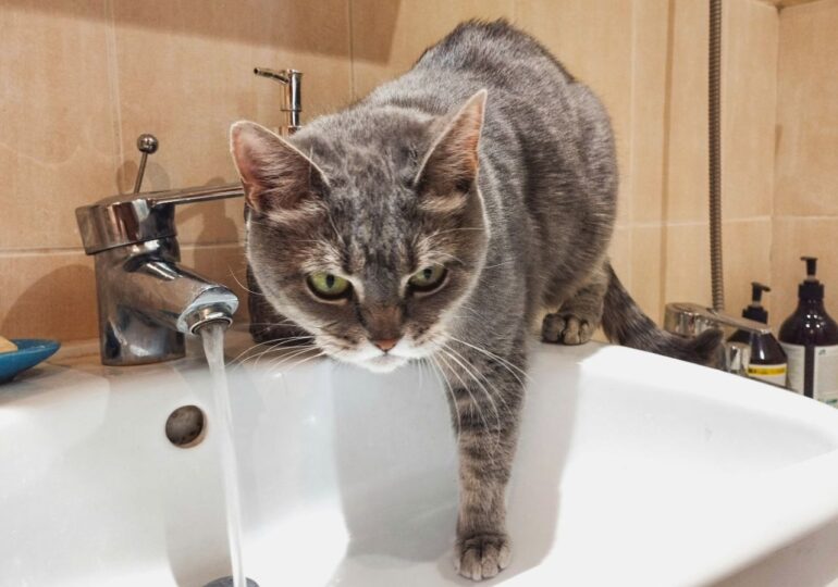 В Самаре 1 января возможны временные отключения холодной воды