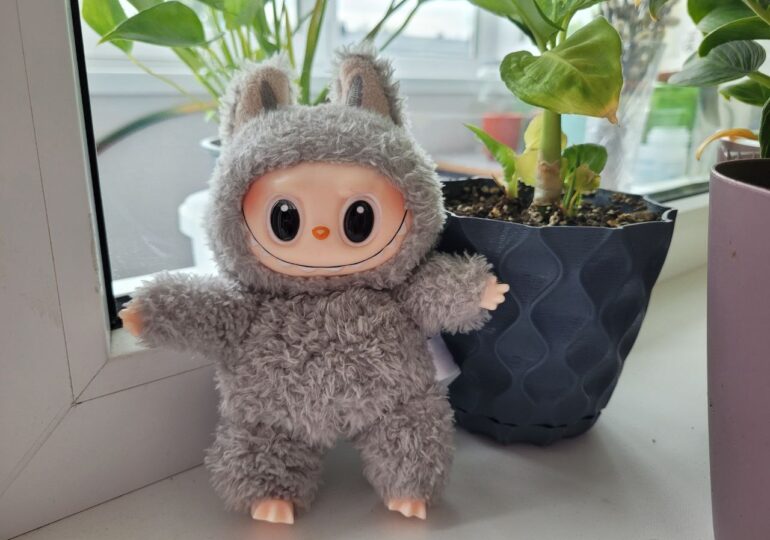 Лабубу не включат в официальный список игрушек для детсадов