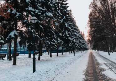 В Самарской области расширят меры поддержки участников СВО и семей с детьми