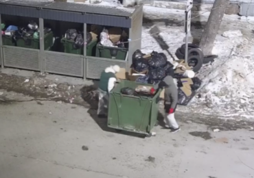 В Самаре проверяют факт незаконной утилизации отходов предпринимателями