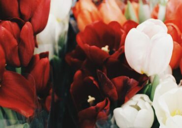 Самарская область вошла в десятку самых выгодных направлений для бронирований между 23 февраля и 8 марта