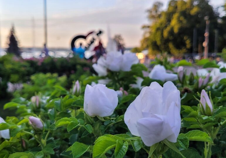 В 2026 году самарцев ждут интересные культурные, деловые и спортивные события