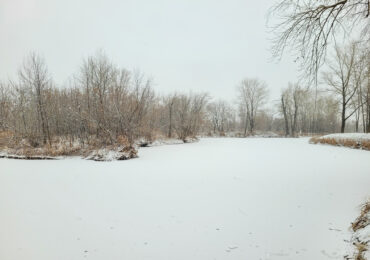 В Самарской области прогнозируют сильный снег