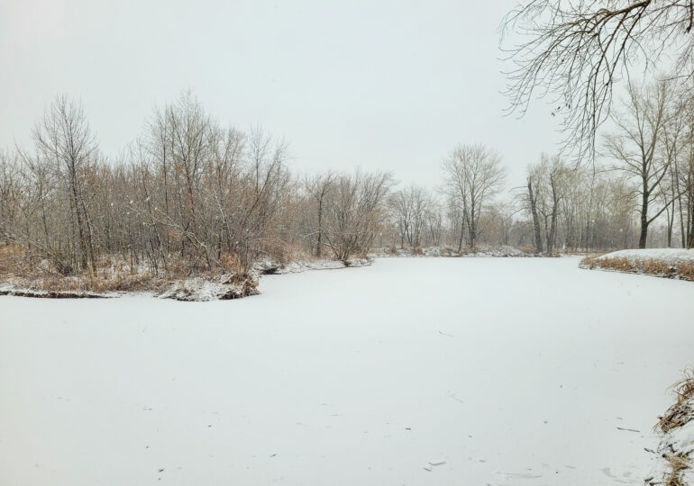 В Самарской области прогнозируют сильный снег