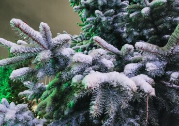 В Самарской области 3 февраля выпало рекордное количество осадков