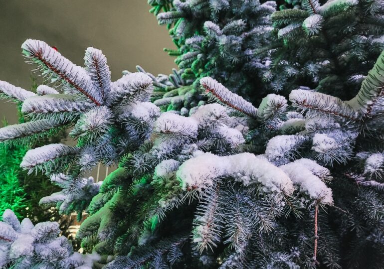 В Самарской области 3 февраля выпало рекордное количество осадков