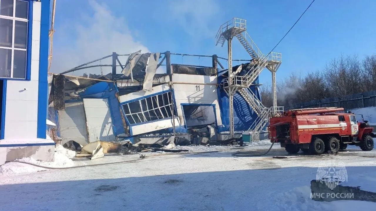 Крупный пожар в Алексеевке потушили