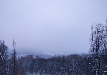 В Самарской области 2 февраля ожидается метель