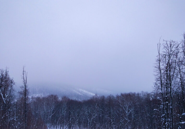 В Самарской области 2 февраля ожидается метель