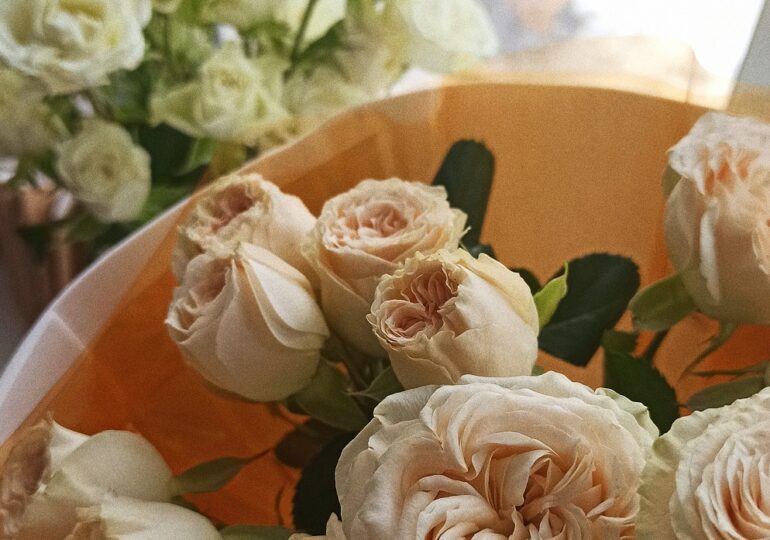 Самарцы ценят в партнерах доброту и заботу