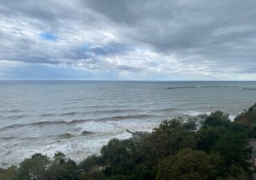 В Черном море обнаружили ледяное поле