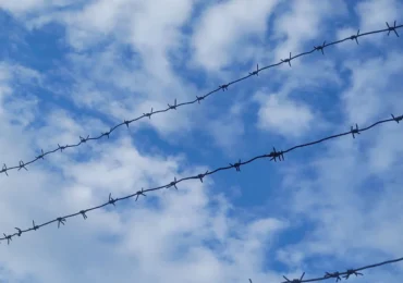 Жительницу Самарской области приговорили к 20 годам за госизмену