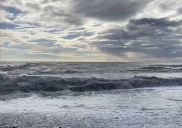 В Черном море обнаружили ледяное поле