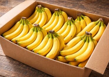 Минимум 14 см: самарцам рассказали о новом ГОСТе на бананы
