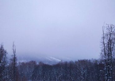 В Самарской области 15 февраля прогнозируют сильный снег