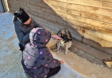 Дети участников СВО побывали за городом на экскурсии с маламутами