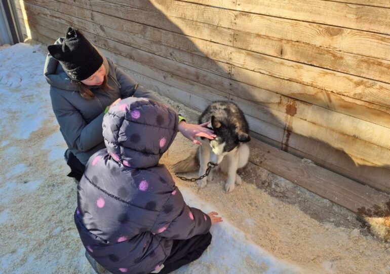 Дети участников СВО побывали за городом на экскурсии с маламутами