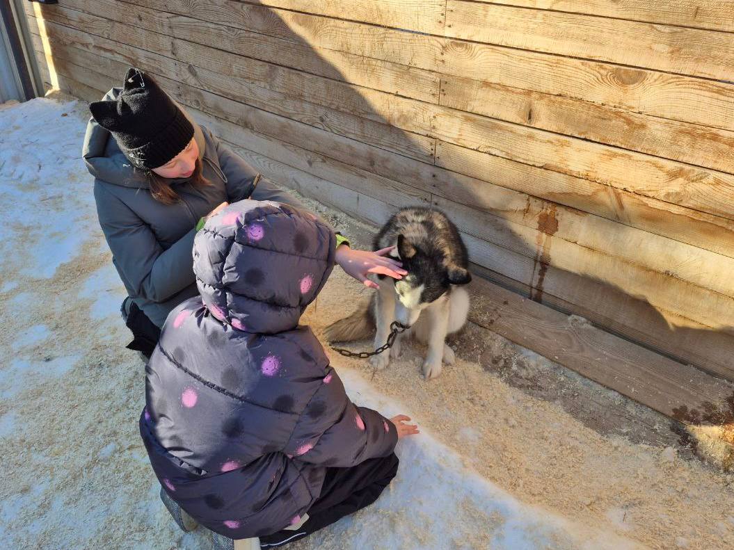 Дети участников СВО побывали за городом на экскурсии с маламутами