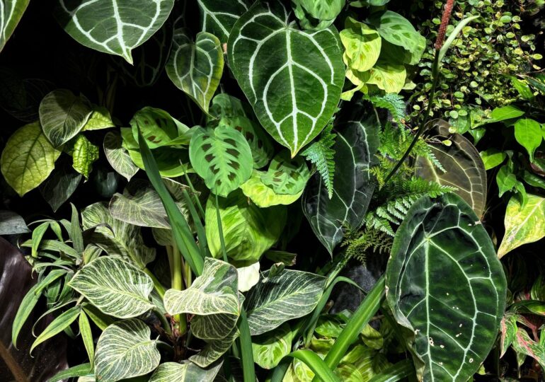 В России 12 марта отмечают День посадки цветов