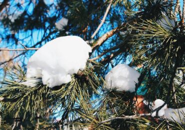 Из Самары 18 марта вывезли 1 643 т снега