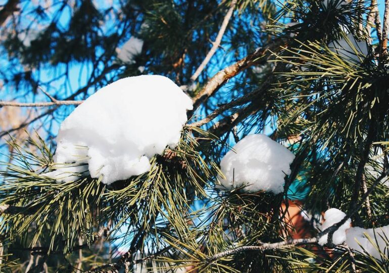 Из Самары 18 марта вывезли 1 643 т снега