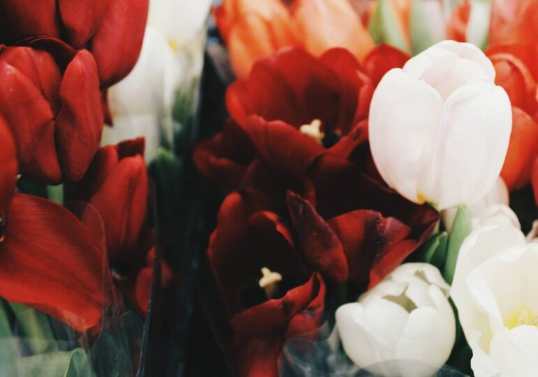 Самарцам рассказали, сколько стоят букеты цветов к 8 Марта