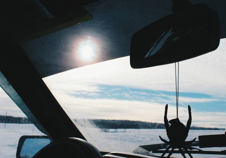 В Самарской области с 20 апреля по 1 июня ограничат движение на участке одной из трасс