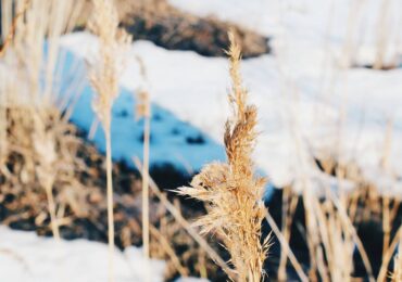 Из Самары 20 марта вывезли 679 т снега