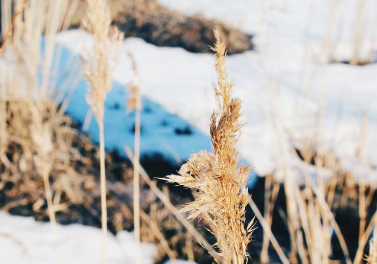 Из Самары 20 марта вывезли 679 т снега