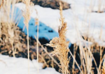 Воздух в Самарской области прогрелся до рекордных значений